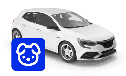 Vlue pet